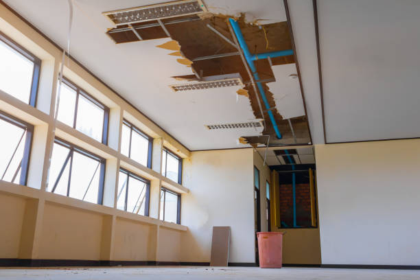 Best Local water damage restoration  in Spry, PA