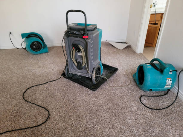 Best Water damage restoration mold remediation  in Spry, PA