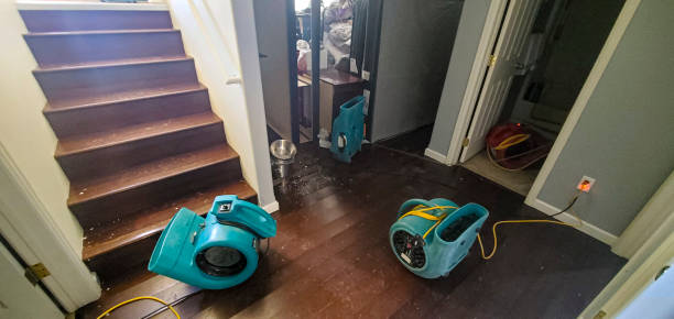 Best Water damage restoration near me  in Spry, PA