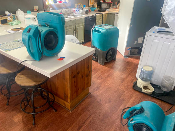 Best Basement water damage restoration  in Spry, PA