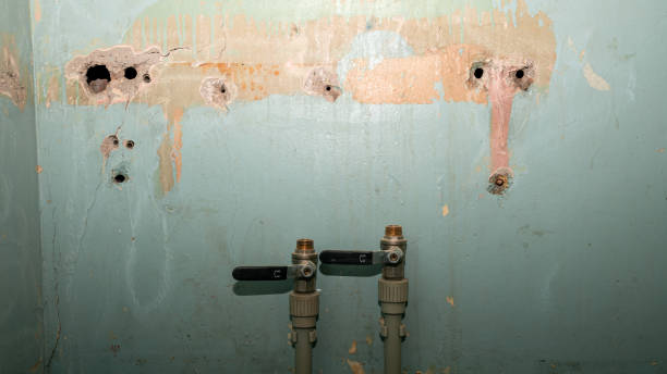 Best 24-hour water damage restoration  in Spry, PA