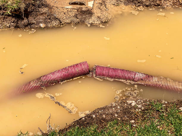 Best Local water damage restoration  in Spry, PA