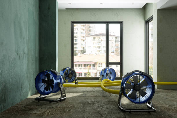 Best Fire Damage Restoration  in Spry, PA